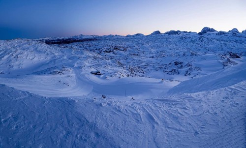 Winter landscape