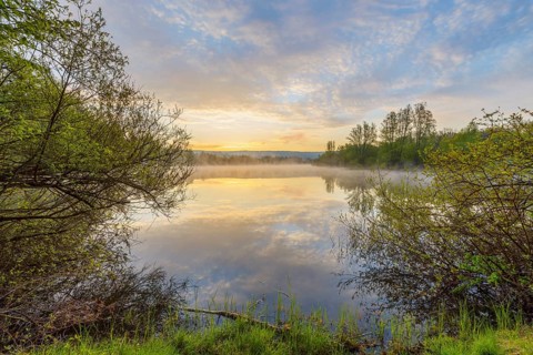 Lake with morning mist at sunrise