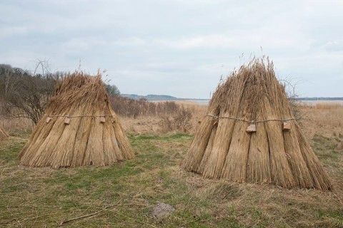 Reethocken