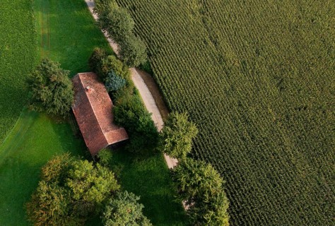 Old house roof in an agricultural landscape with maize field and gravel path from above