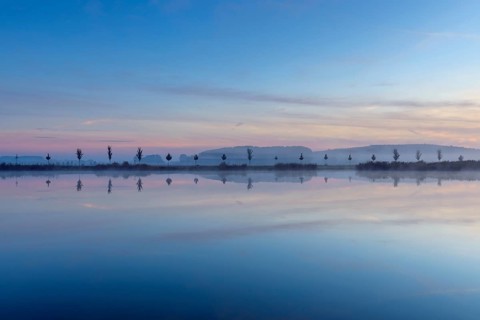 Landscape with Row of Trees Reflecting in Lake at Dawn