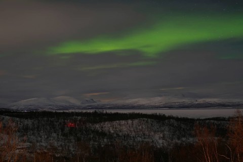 Aurora borealis over snow-covered mountains and birch trees