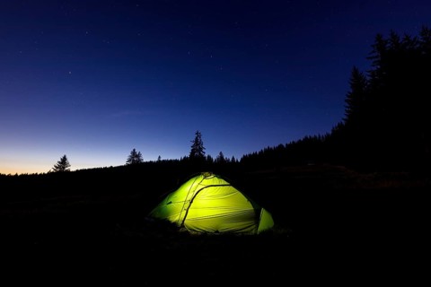 Illuminated green tent at the edge of the forest