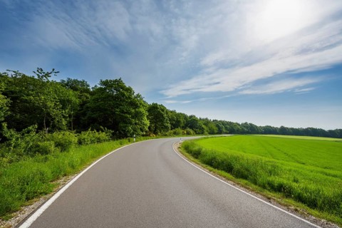 Country Road with Sun in Spring