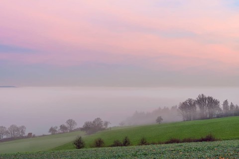 Countryside at Dawn with Morning Mist