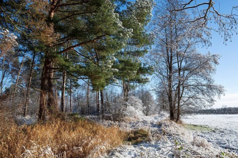 Snow