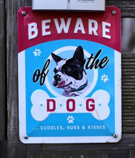 Humorous sign warning of the dog