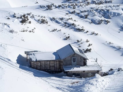 Winter landscape