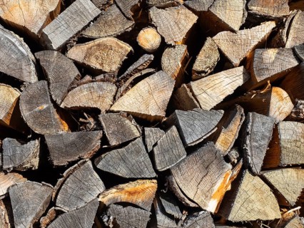 Stacked firewood