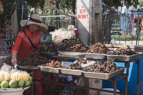 Woman selling roasted insects