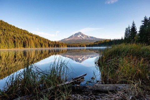 Lake shore