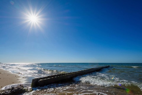Wooden Breakwater on the Beach with Sun