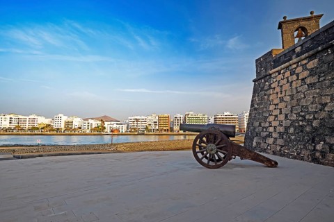 Cannon