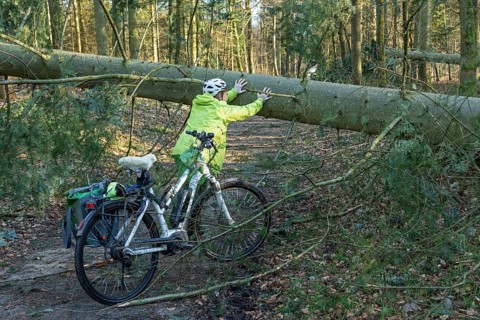 Woman cycling through the forest on an e-bike after a storm