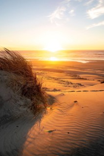 Sunset over the sea