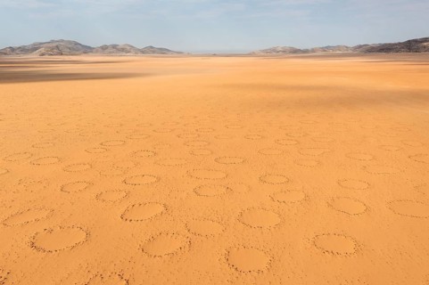 Sandy desert plain with so-called Fairy Circles