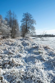 Snow