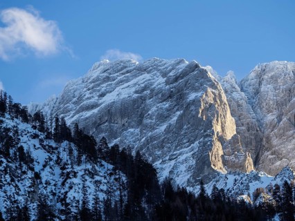 Winter landscape