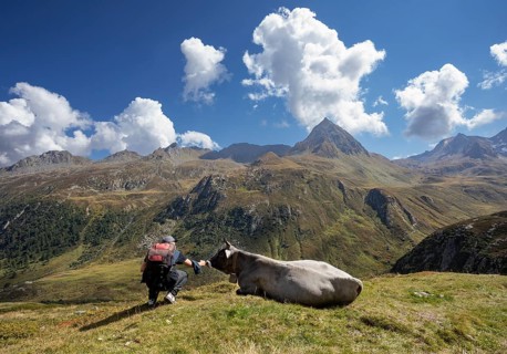 Alpine pasture