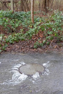 Water pouring out of a manhole cover