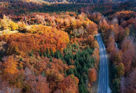 Drone image
