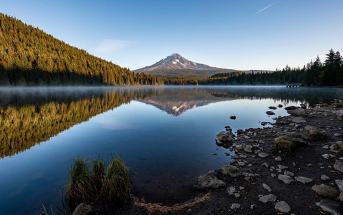 Lake shore