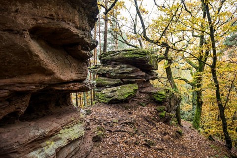 Autumn-coloured forest and sandstone rocks