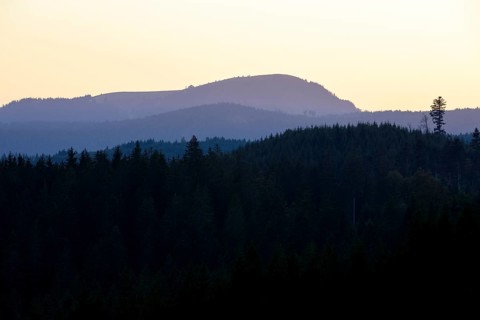 View in the morning light of the Belchen in the Black Forest