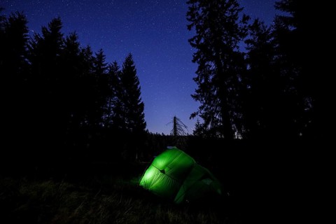 Illuminated green tent at the edge of the forest