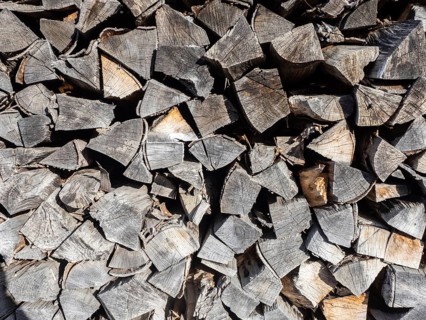 Stacked firewood