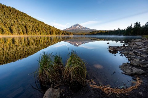 Lake shore