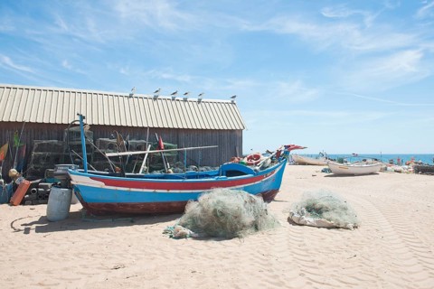 Fishing boats in Armacao de Pera