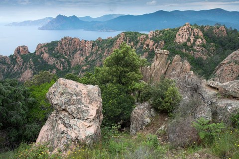 Rocky landscape Calanches de Piana