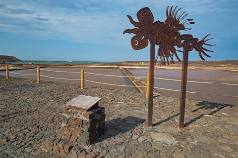 Sea salt extraction