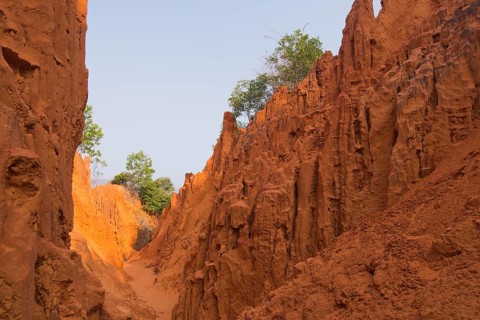 Red Canyon