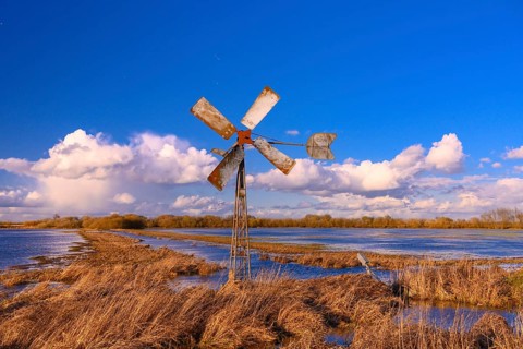 Windmill at the edge of a wet meadow in the Ochsenmoor at Lake Duemmer