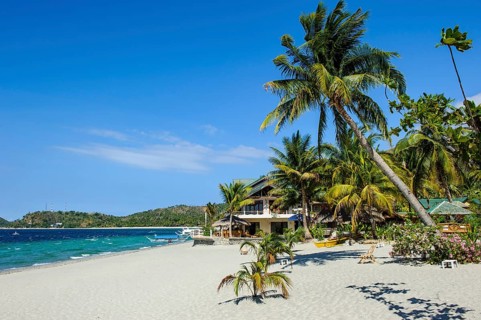 Empty sandy beach without tourists with coconut palm