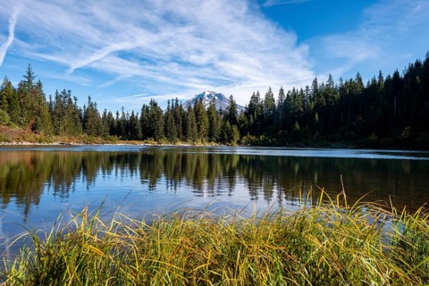 Mirror Lake with forest