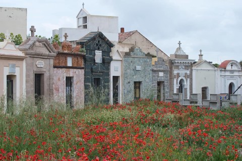 Bonifacio Seamen's Cemetery