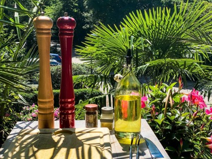 Salt and pepper mill with oil and spices in a backlit tropical garden