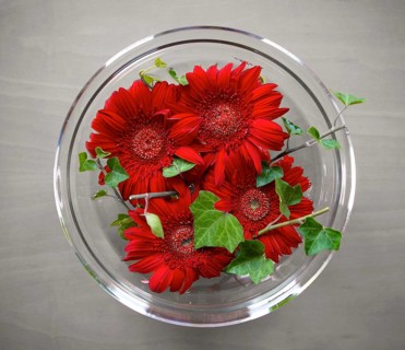 Table decoration with four red gerbera flowers in a shallow glass bowl from above