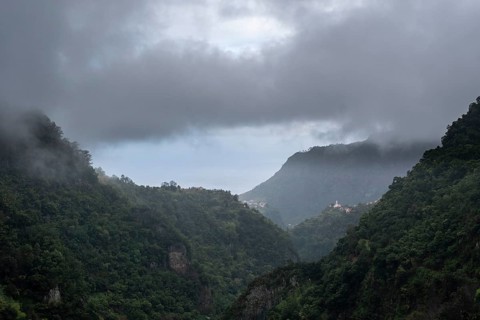 Green gorge with fog near Ribeiro Frio