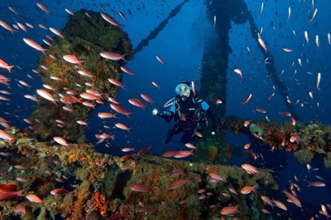 Diver diving above deck of sunken wreck of cargo ship M/V M/N Kent