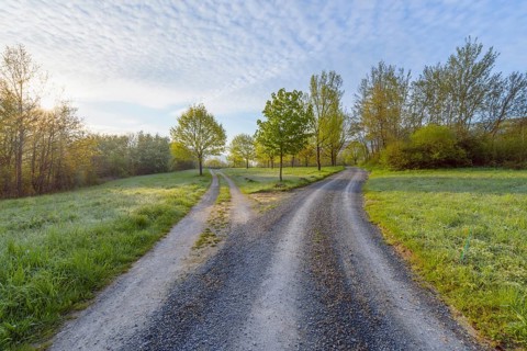 Forked dirt road in the morning at spring