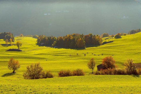 Autumnal mountain landscape