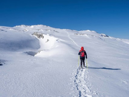 Blue sky over winter landscape