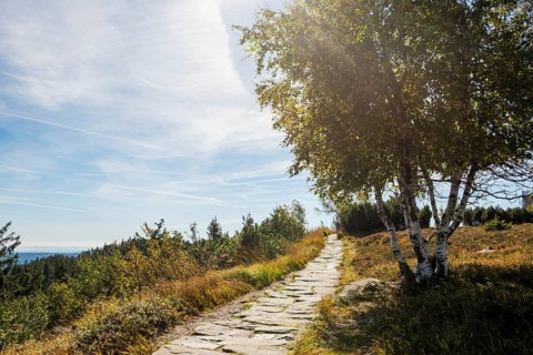 High moor and hiking trail