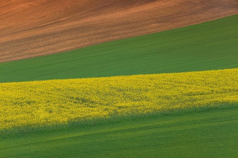 Beautiful and colorful abstract landscape