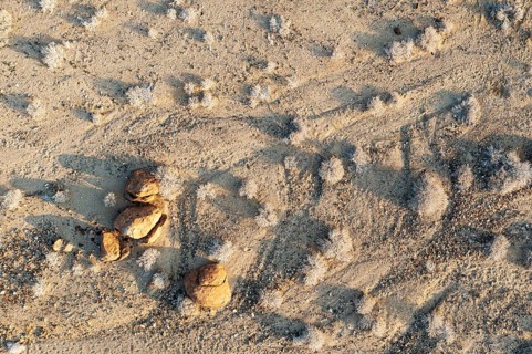 Dried up rivers after years of drought