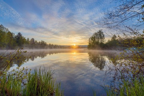 Lake with morning mist at sunrise